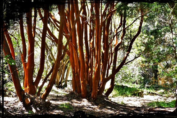 10 Secrets of Bariloche, Nahuel Huapi, and Patagonia - Starting at the Civic Center and Patagonia Museum
