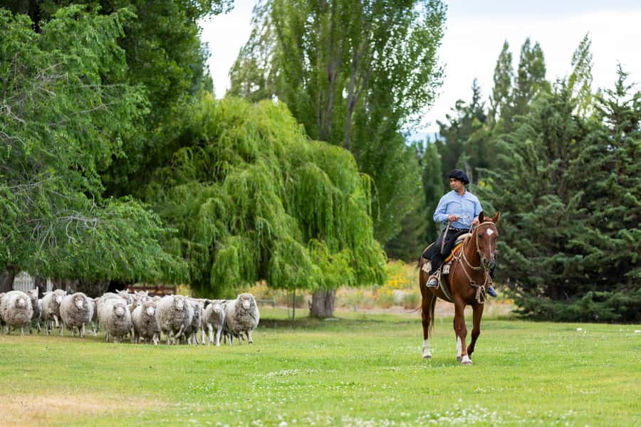 25 DE MAYO FARM - Folk music and a participatory show