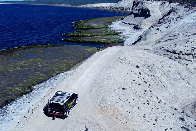 3 hour 4x4 tour around Puerto Madryn - Starting along Puerto Madryn’s waterfront