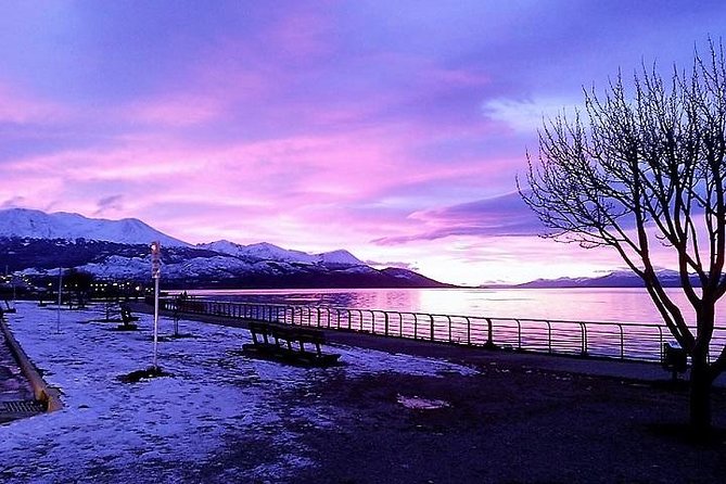 5-Hour National Park + City tour - USHUAIA (Private Tour) - A smart way to see Ushuaia in only five hours