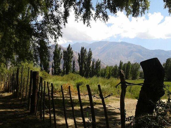 Andes Day Trip from Mendoza Including Aconcagua, Uspallata and Puente del Inca - Key points to know before you book