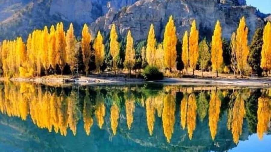 Bariloche: 7 Lakes & San Martin de Los Andes Road Trip - Seven Lakes Route: What You See From the Road