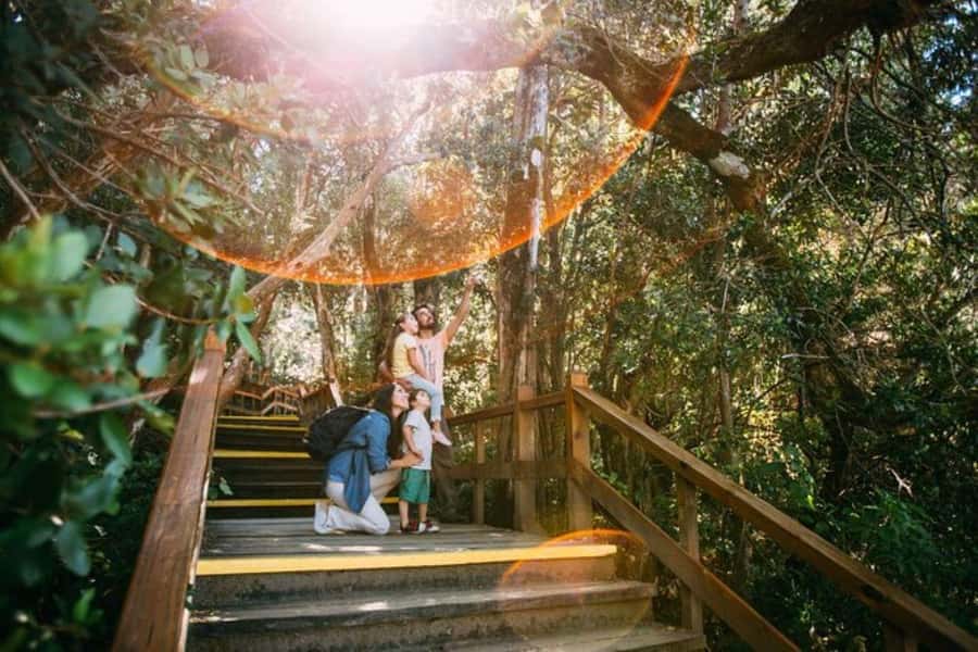 Bariloche: Arrayanes Forest and Victoria Island Tour - Key points to know before you book