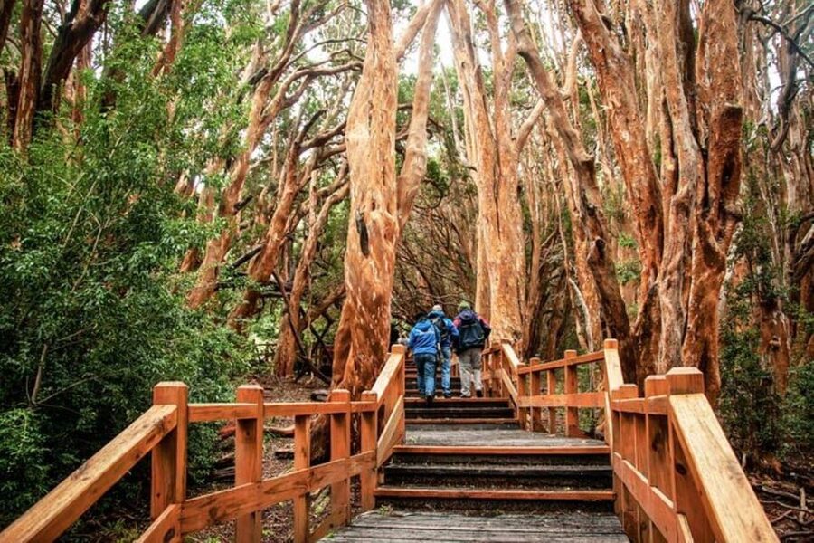 Bariloche: Arrayanes Forest and Victoria Island Tour - The crowd question