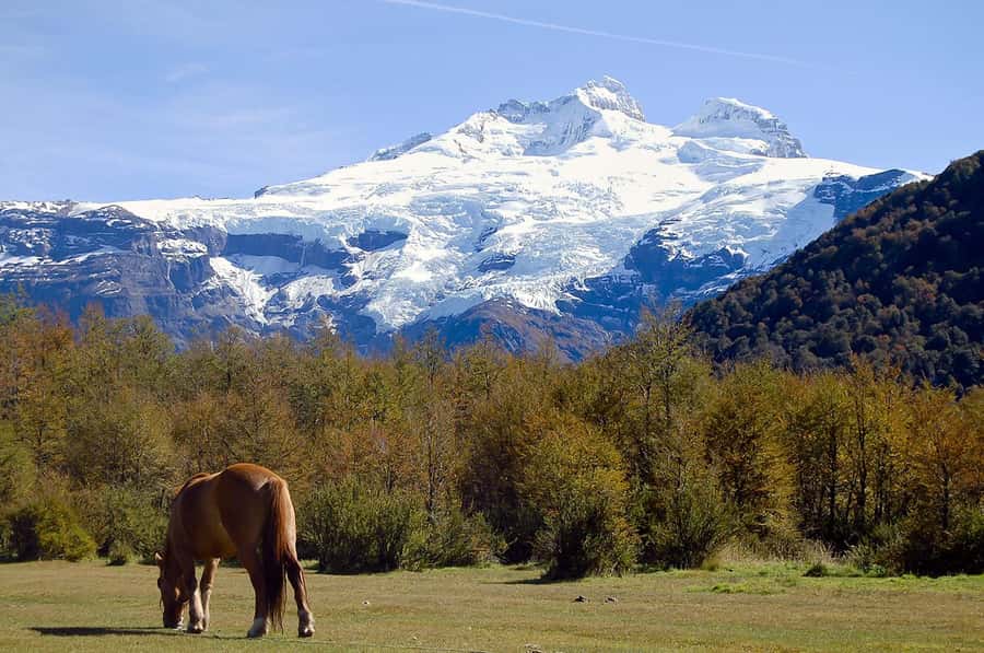 Bariloche: Cerro Tronador and Ventisquero Negro Glacier Tour - Along the Manso River to Pampa Linda
