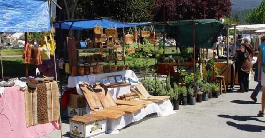 Bariloche: Full-Day El Bolsón and Puelo Lake Tour - Puelo Lake and the easy walk by the water