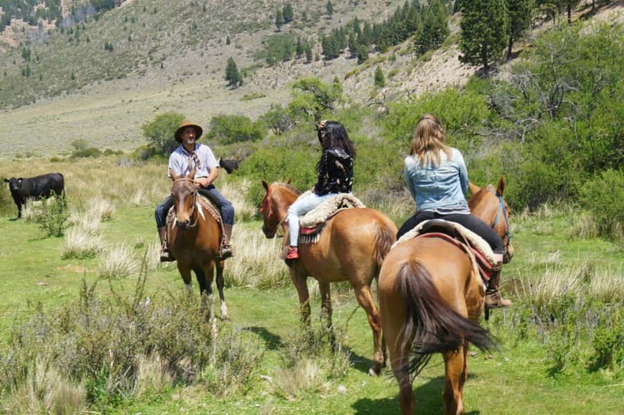 Bariloche: Guided horseback rides in the Patagonian steppe - Breakfast and a closer look at local wildlife