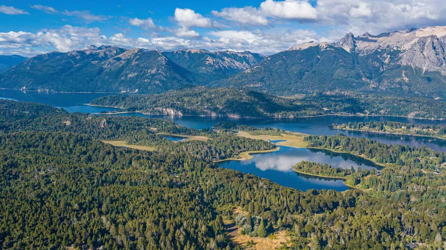 Bariloche: Half-Day Small Circuit Tour with Mount Campanario - Guides, language, and the pace of the day