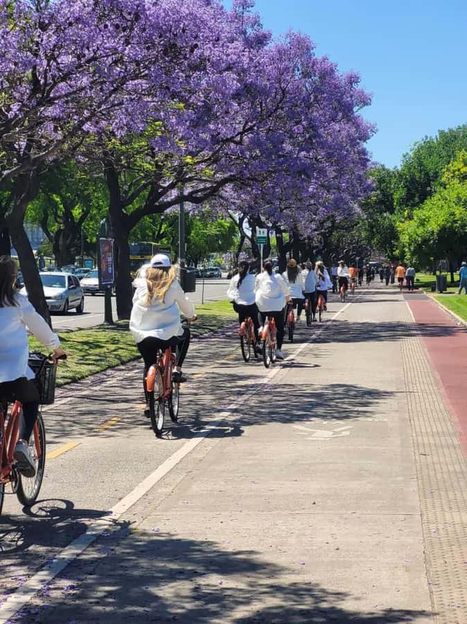 Bike Tour: Buenos Aires to the North - How the e-bike changes the value