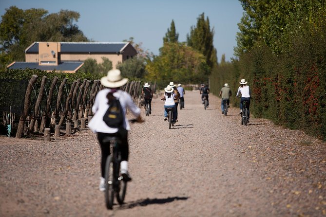 Bike Tour in Mendoza Wine Country - Starting in Mendoza and riding toward Vistalba