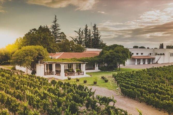 Bike Tour in Mendoza Wine Country - What the bike ride is really like