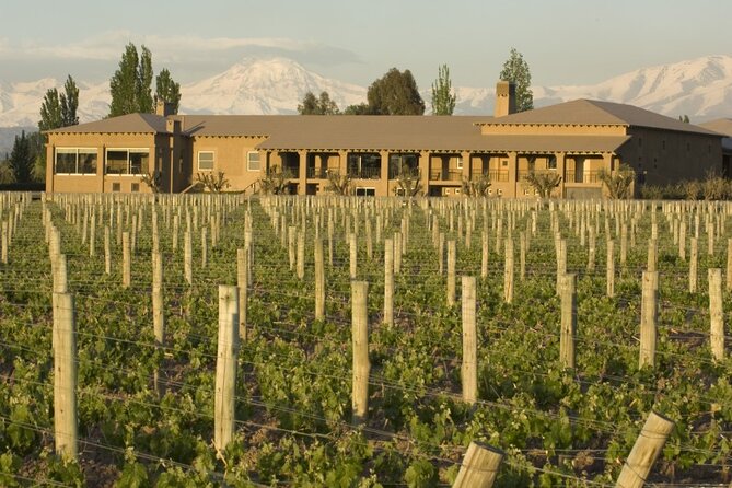 Bike Tour in Mendoza Wine Country - The guides make the difference