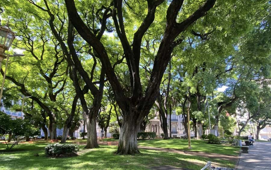 Buenos Aires: 7 Hour Small Group "BA 101" Walk - Who should book this seven-hour walk?