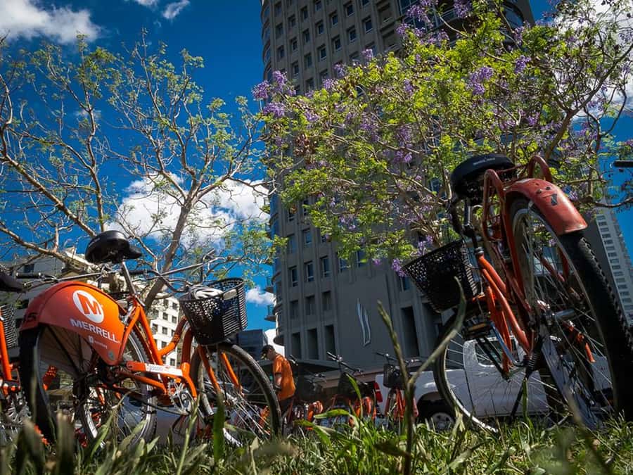 Buenos Aires Bike Tour: South or North Circuit - The North Circuit: Recoleta and Palermo