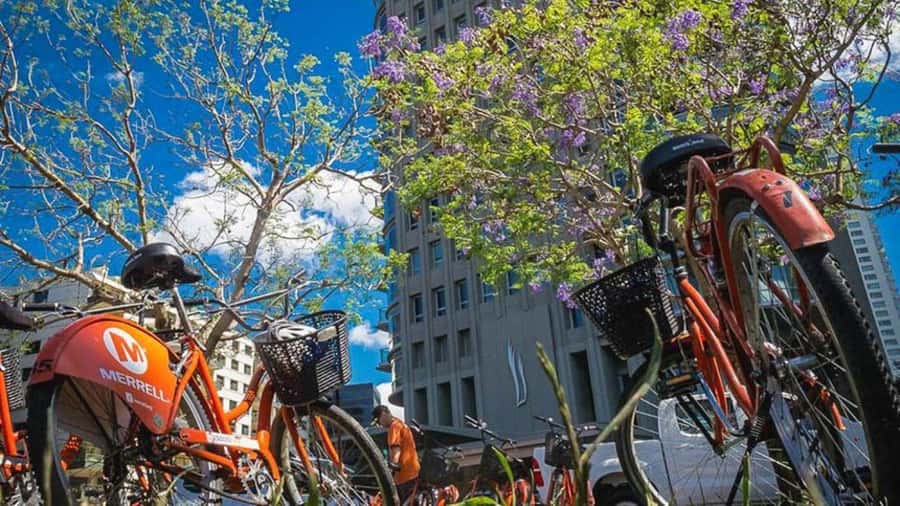 Buenos Aires Bike Tour: South or North Circuit - Should you book the Buenos Aires Bike Tour?