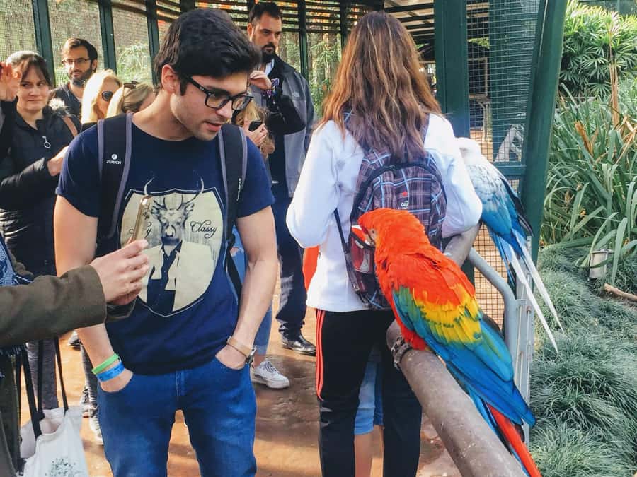 Buenos Aires: Bioparque Temaiken with Transfers - Key points to know before booking