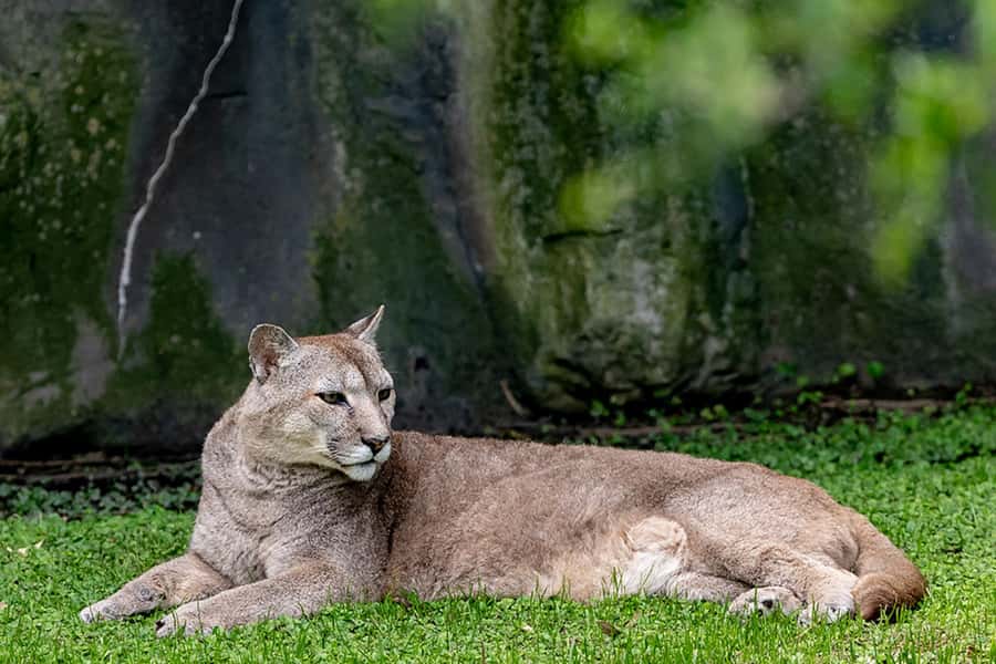 Buenos Aires: Bioparque Temaiken with Transfers - Practical details that affect your day