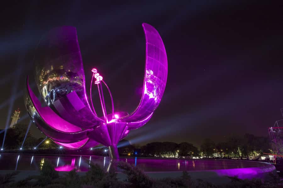 Buenos Aires by Night: Small Group City Tour - Comfort, walking, and practical limits
