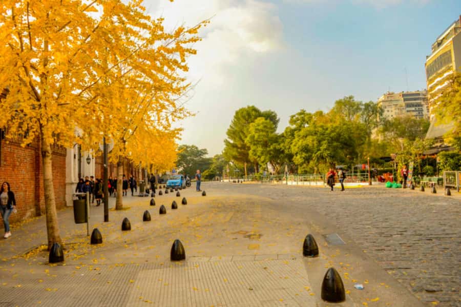 Buenos Aires: City Tour Porteno with Wine Tasting - Recoleta Cemetery and the elegant northern city