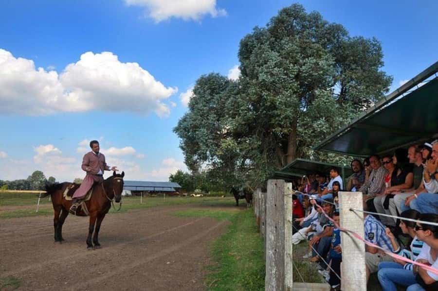Buenos Aires: Don Silvano Ranch Gaucho Day Trip - Key points to know before booking