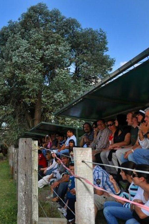Buenos Aires: Don Silvano Ranch Gaucho Day Trip - Who should book this ranch day?
