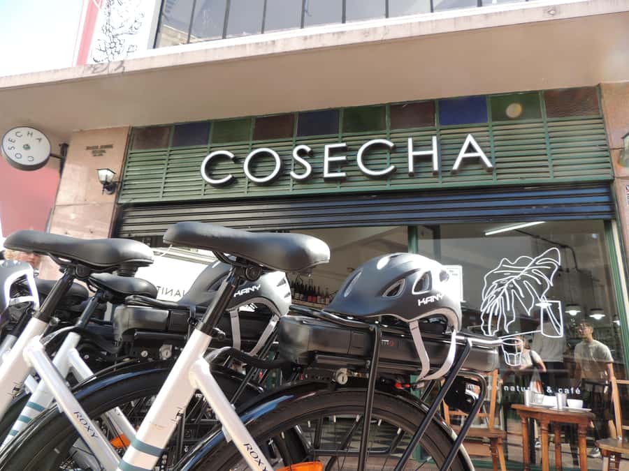 Buenos Aires: E-Bike Tour in the South Circuit of Buenos Aires - Who should book this ride?