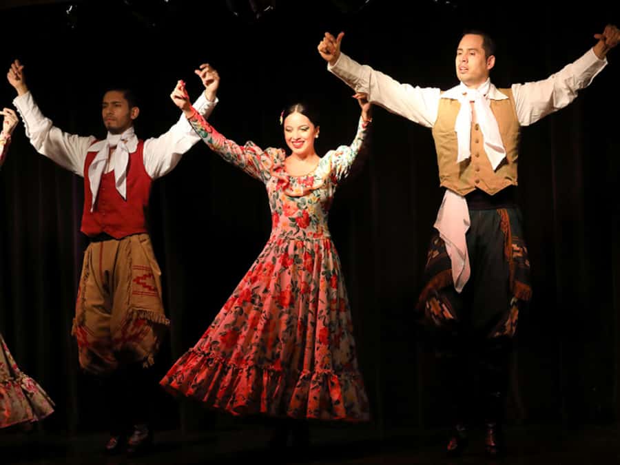 Buenos Aires: Live Michelangelo Tango & Folklore Show Ticket - Choosing Standard or VIP