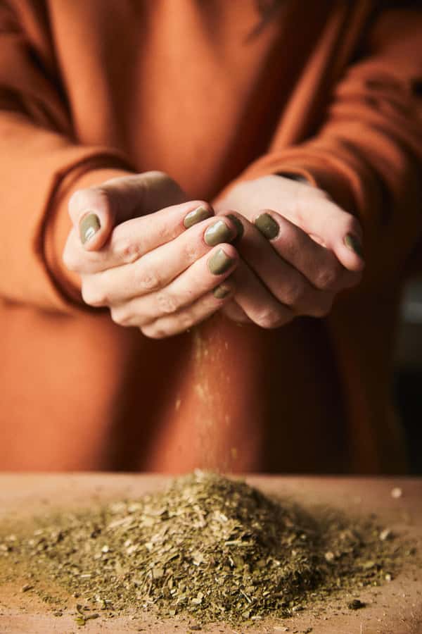 Buenos Aires: Mate Workshop y Otras Yerbas - Comparing four types of yerba mate