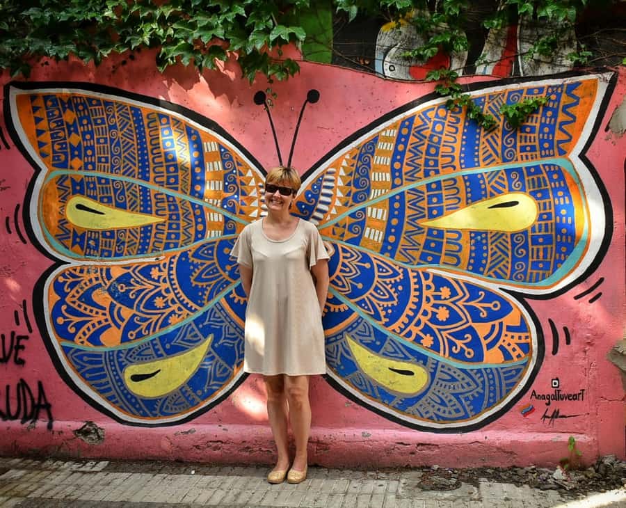 Buenos Aires: Palermo Soho Guided Walking Tour - Guide language and tour quality