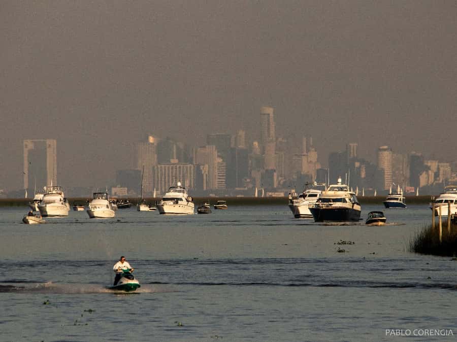 Buenos Aires: Premium Delta Navigation round trip - Who will enjoy this cruise?