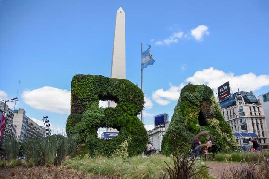 Buenos Aires Private City Tour with a local guide - Mafalda, Avenida de Mayo, and San Telmo