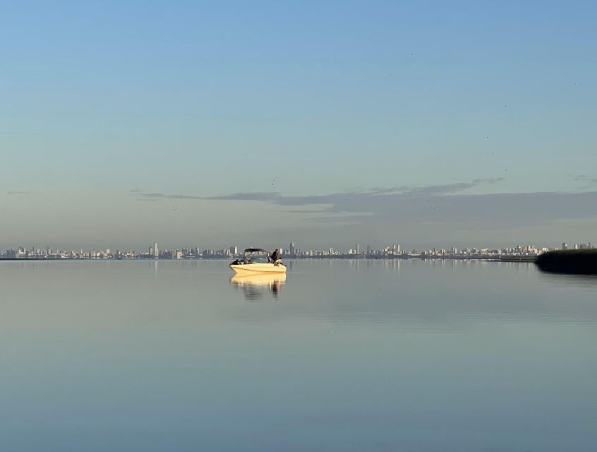 Buenos Aires: Private Delta Boat Tour with Barbecue onboard - A good fit for families, friends, and special meals