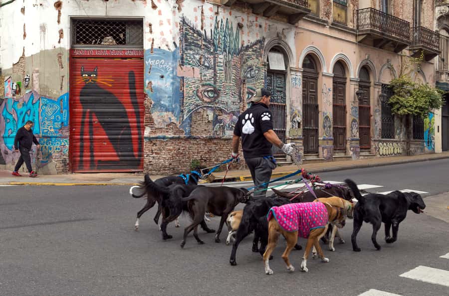 Buenos Aires: Private Photo Tour for Ammateur Photographers - Is $200 per person a fair price?