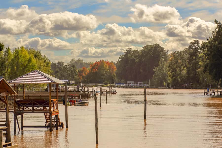 Buenos Aires: Puerto Madero to Tigre Round Trip Cruise - Is $58 a fair price?