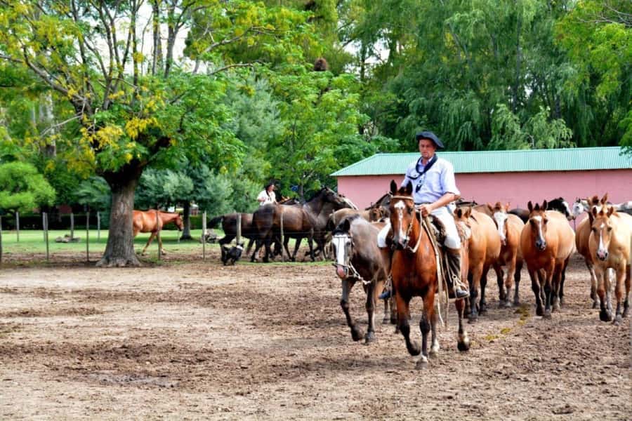 Buenos Aires: Santa Susana Ranch Day Tour, BBQ & Shows - Reaching Santa Susana Ranch from Buenos Aires