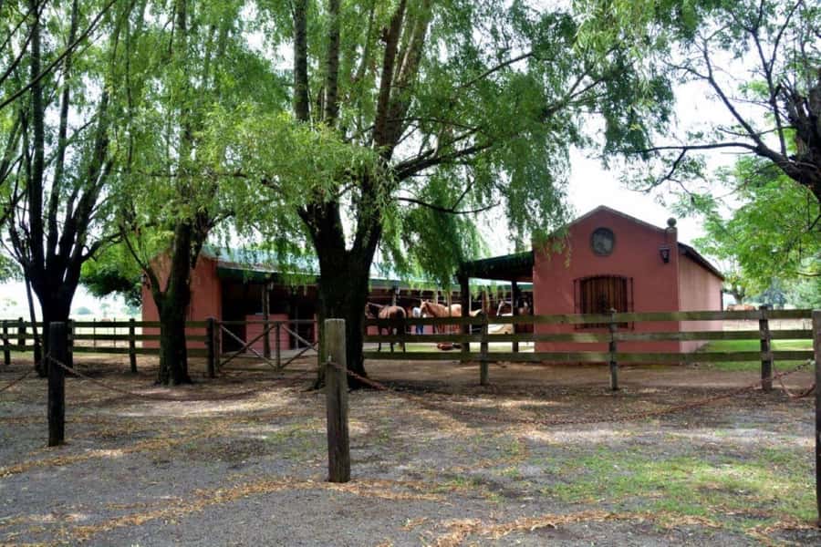 Buenos Aires: Santa Susana Ranch Day Tour, BBQ & Shows - Mate cocido and an easy afternoon finish