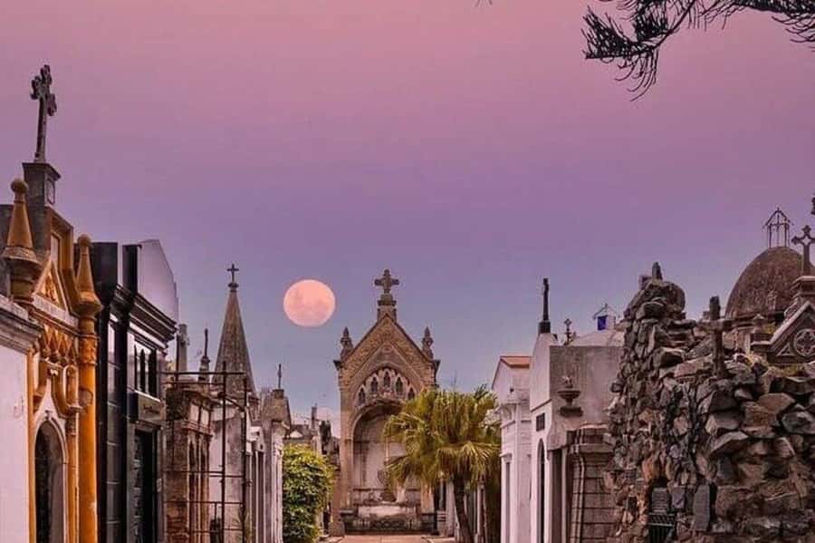 Buenos Aires: Small Group City Highlights Tour - Plaza de Mayo brings politics and colonial Buenos Aires together