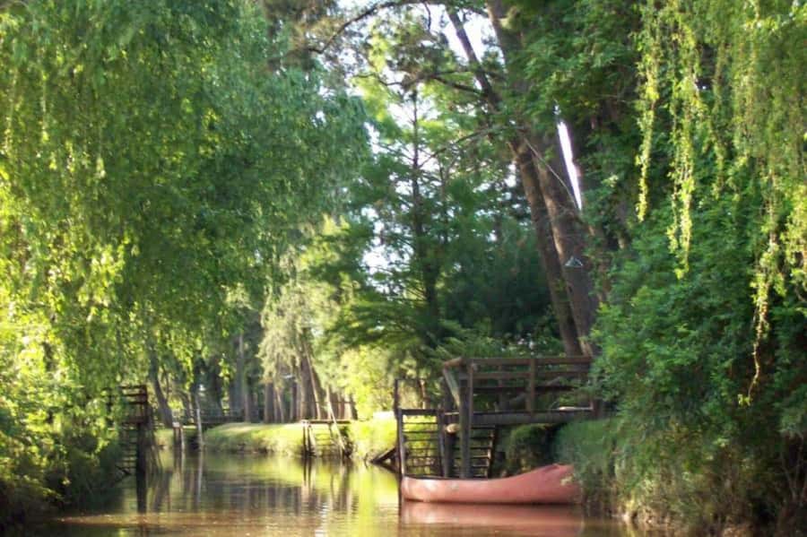 Buenos Aires: Ticket - Classic Delta of Tigre Boat Tour - Island Homes, Schools, and Churches