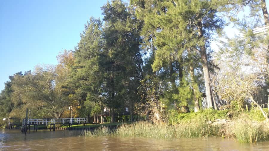 Buenos Aires: Ticket - Classic Delta of Tigre Boat Tour - Who Will Enjoy This Cruise Most?