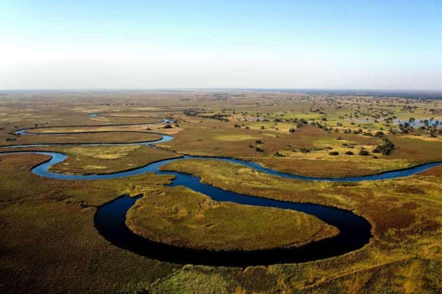 Buenos Aires: Tigre Delta Premium Boat Tour - Who will enjoy this five-hour outing?