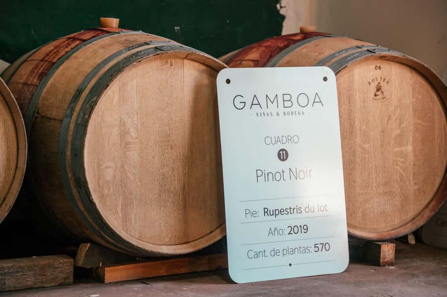 Buenos Aires: Wine Tasting and Lunch at Bodega Gamboa - What the $169 price means in practical terms