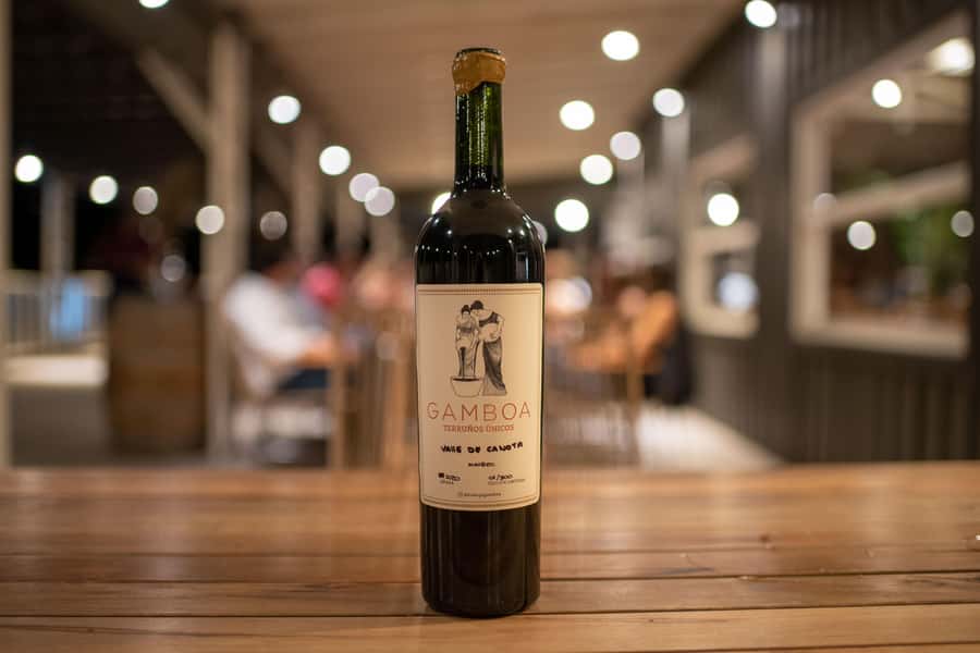 Buenos Aires: Wine Tasting and Lunch at Bodega Gamboa - Timing, weather, and mobility