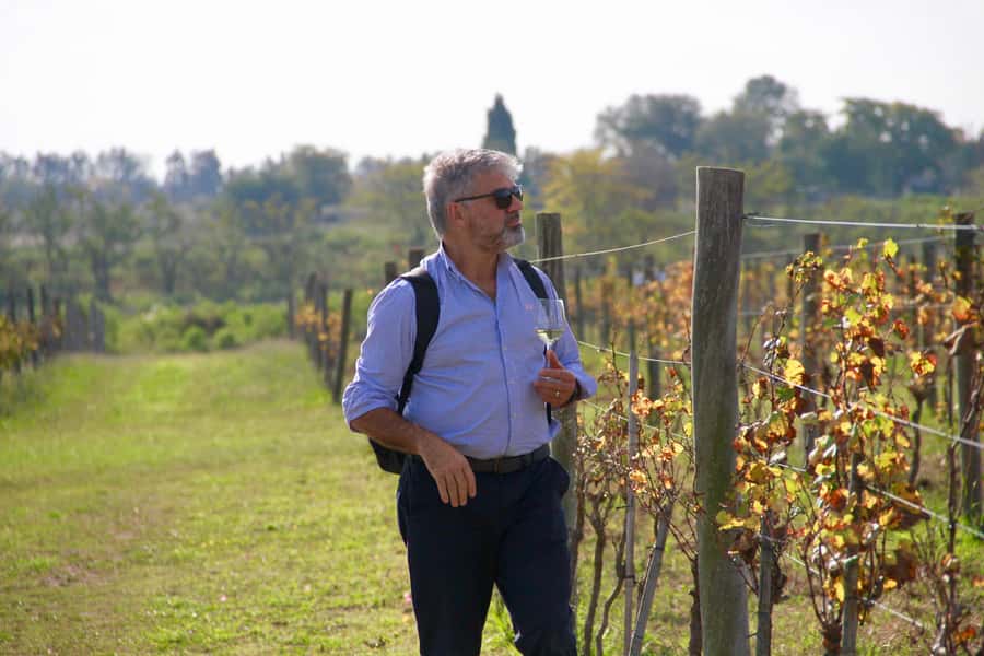 Buenos Aires: Wine Tasting and Lunch at Bodega Gamboa - Is Bodega Gamboa worth booking?