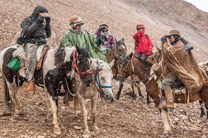 Cabalgata Cruce de Los Andes Cruce Sanmartiniano - Key points before you saddle up