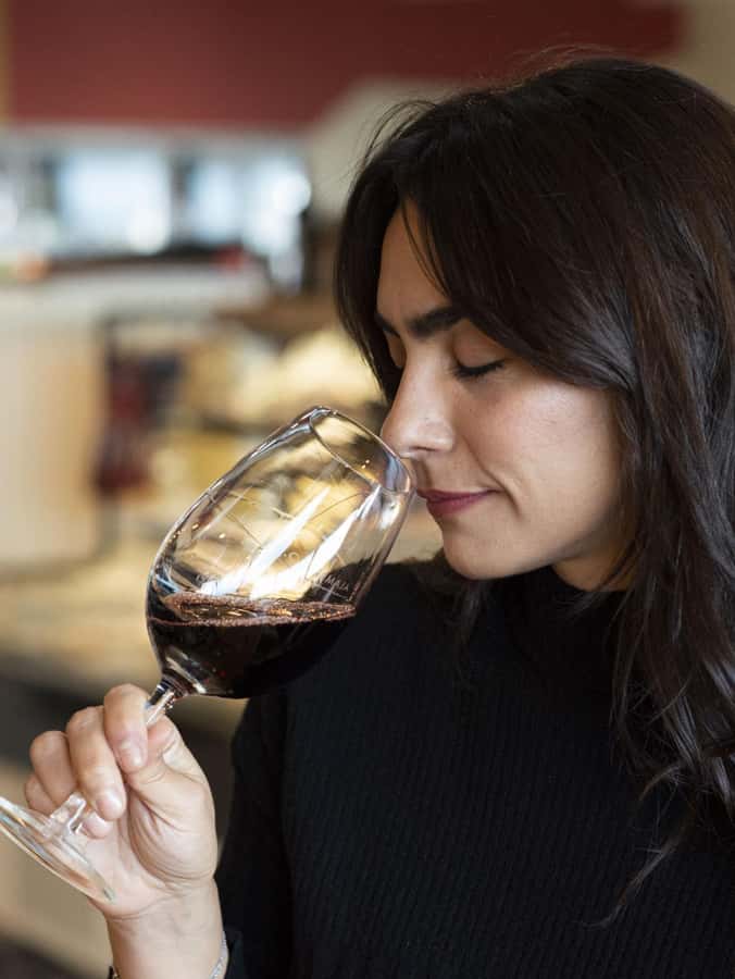 City tour and Wine tasting - Two Hours of Patagonian Wine and Cheese