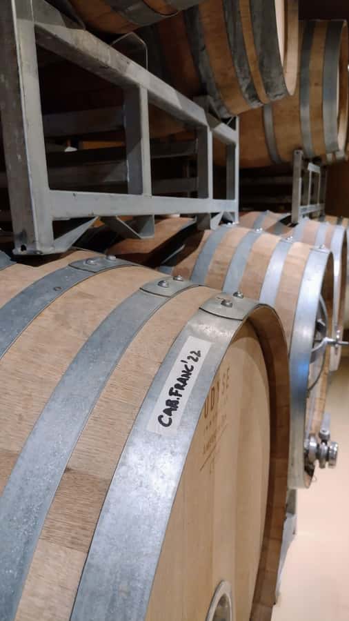 Córdoba: Wine Tour Privado a Colonia Caroya - Día completo - Why Colonia Caroya makes a good wine day from Córdoba