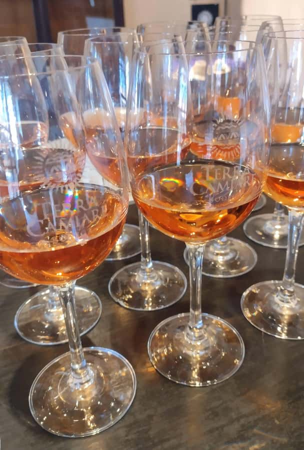 Córdoba: Wine Tour Privado a Colonia Caroya - Día completo - Who will enjoy this day most