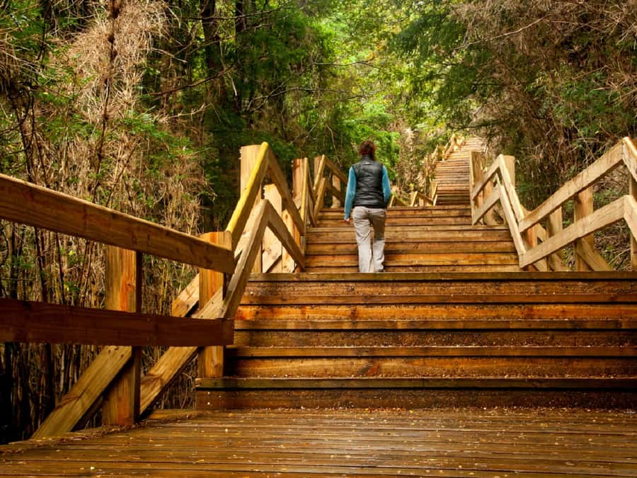 Crossing to Puerto Blest and Cascada de los Cántaros - Key points before you book