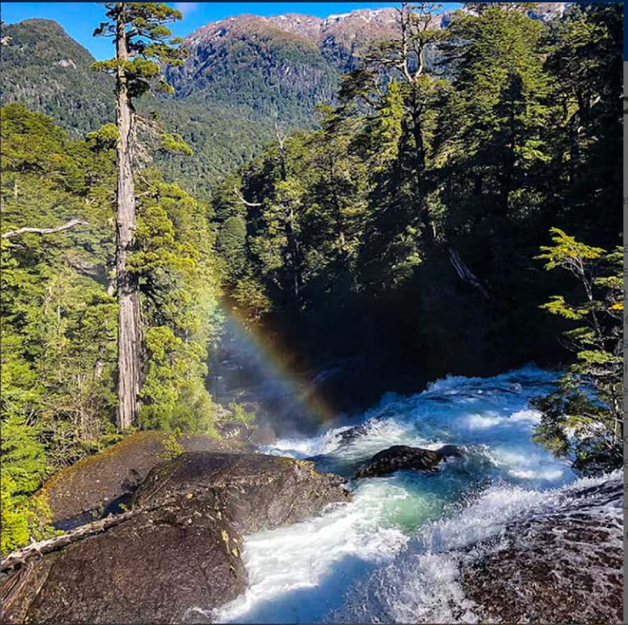 Crossing to Puerto Blest and Cascada de los Cántaros - Setting out from Bariloche toward Puerto Pañuelo