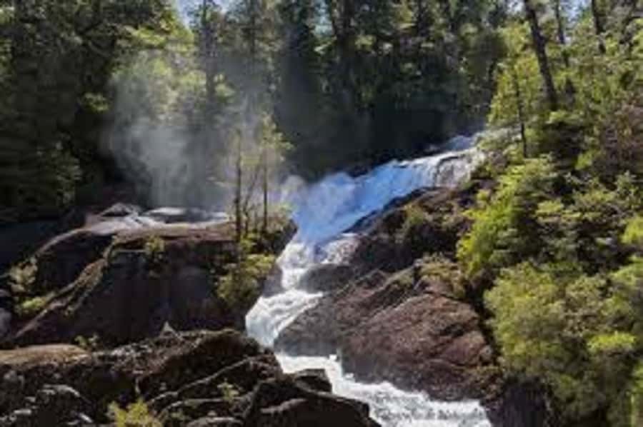Crossing to Puerto Blest and Cascada de los Cántaros - Who will enjoy this six-hour outing?